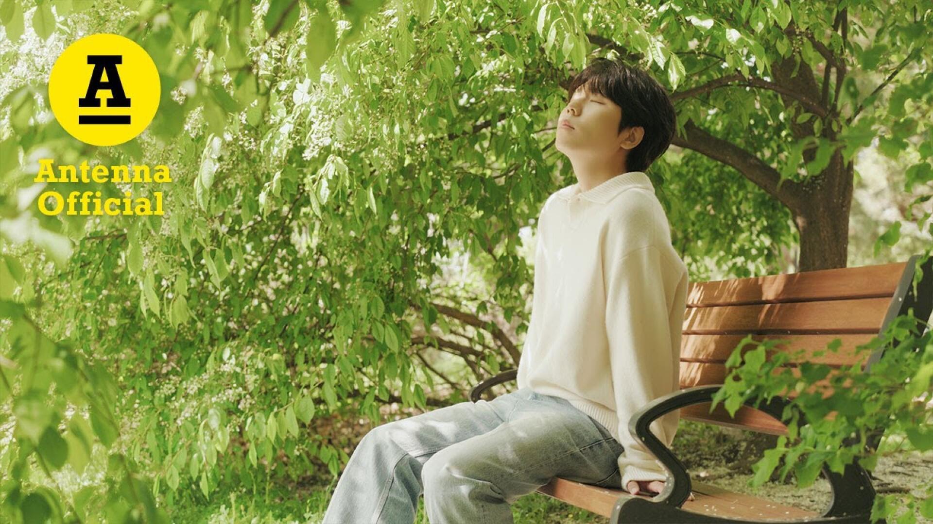 '벚꽃이 내리는 봄길 위에서 우리 다시 만나요' Visualizer