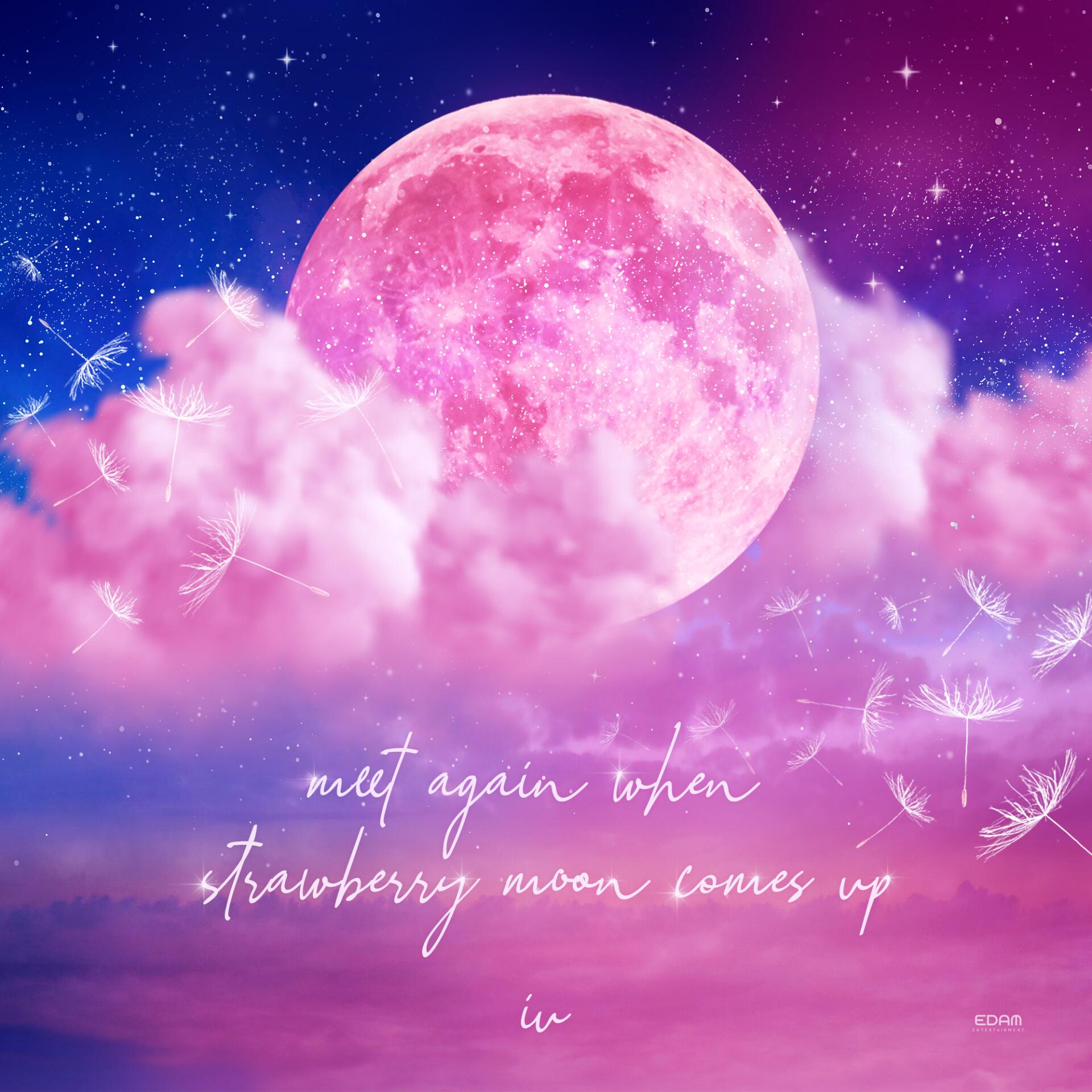 'meet again when strawberry moon comes up'