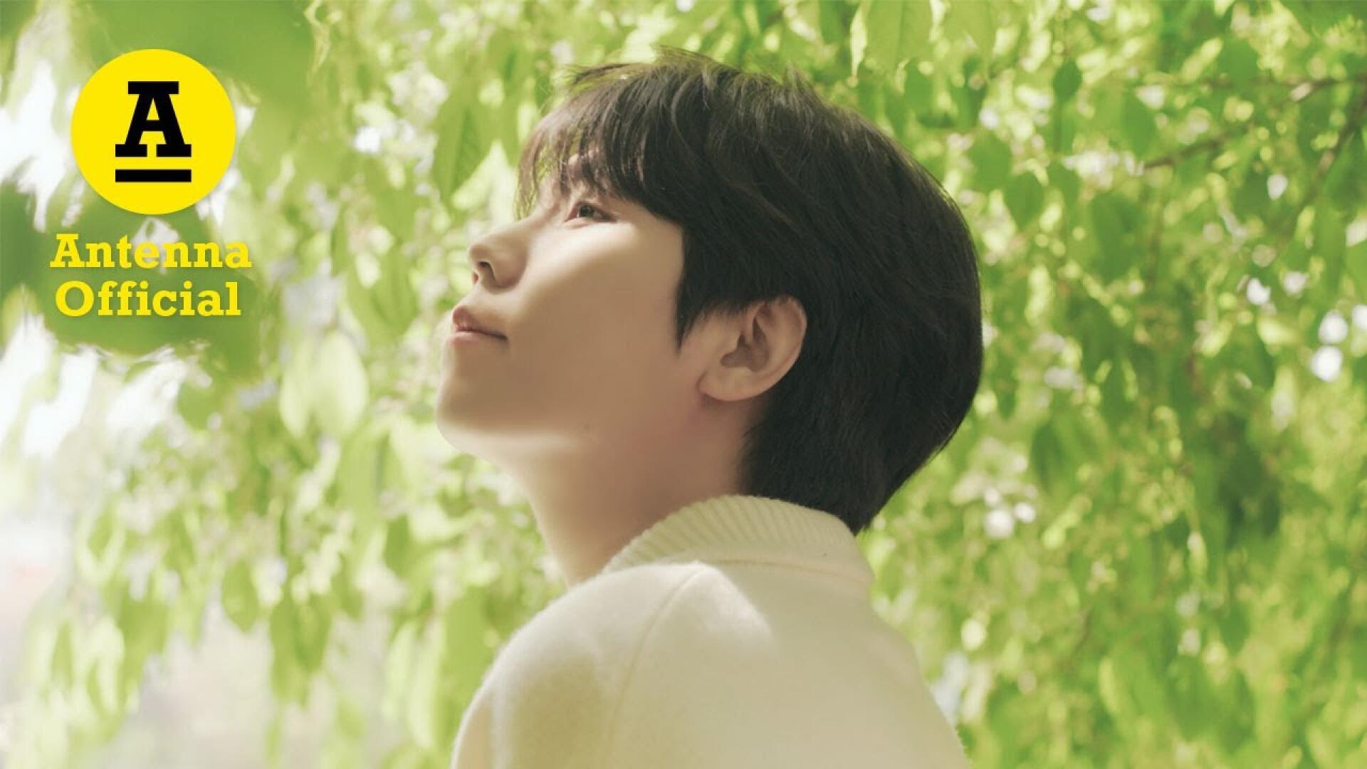 '벚꽃이 내리는 봄길 위에서 우리 다시 만나요' Visualizer Teaser