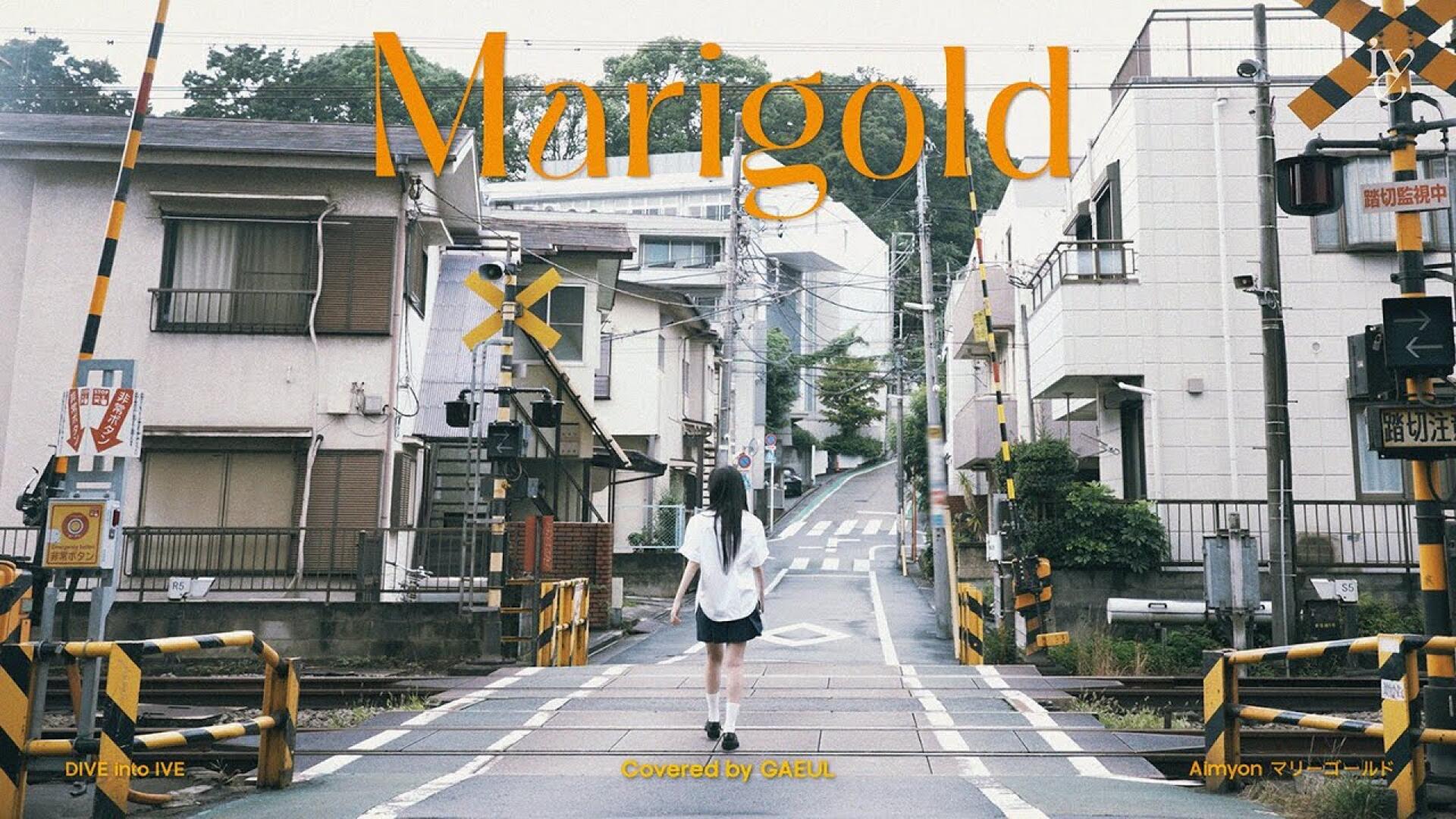 Marigold Covered by GAEUL